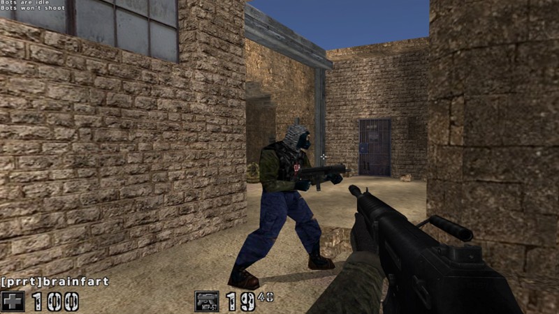 Assault cube gameplay image